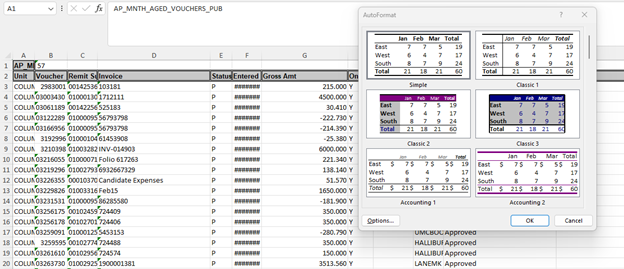 Screenshot of Microsoft Excel's AutoFormat menu