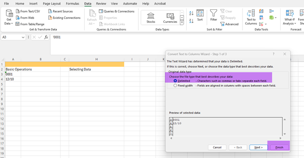 Excel screenshot: Colums wizard box open. Choose the delimited circle, and then choose finish