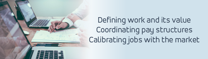 Compensation and Pay Delivery - Defining work and its value