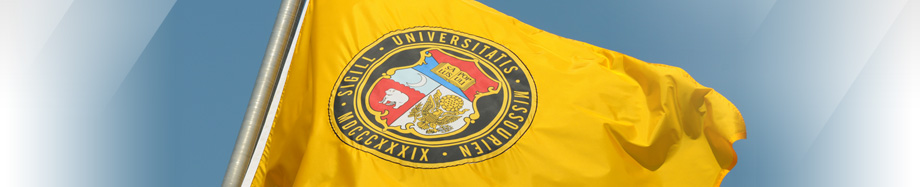 Inside UM System - the UM System flag